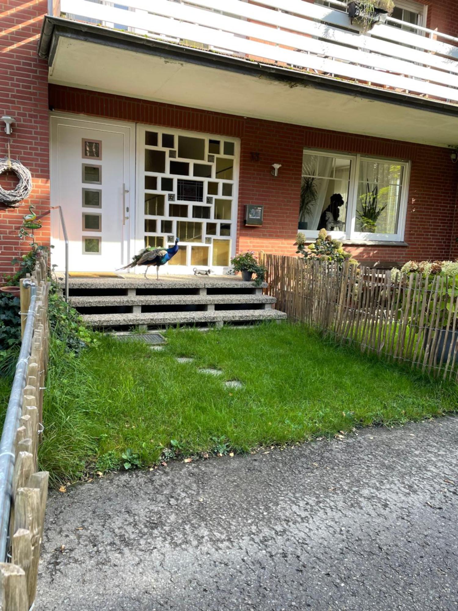 Pfauenhof *